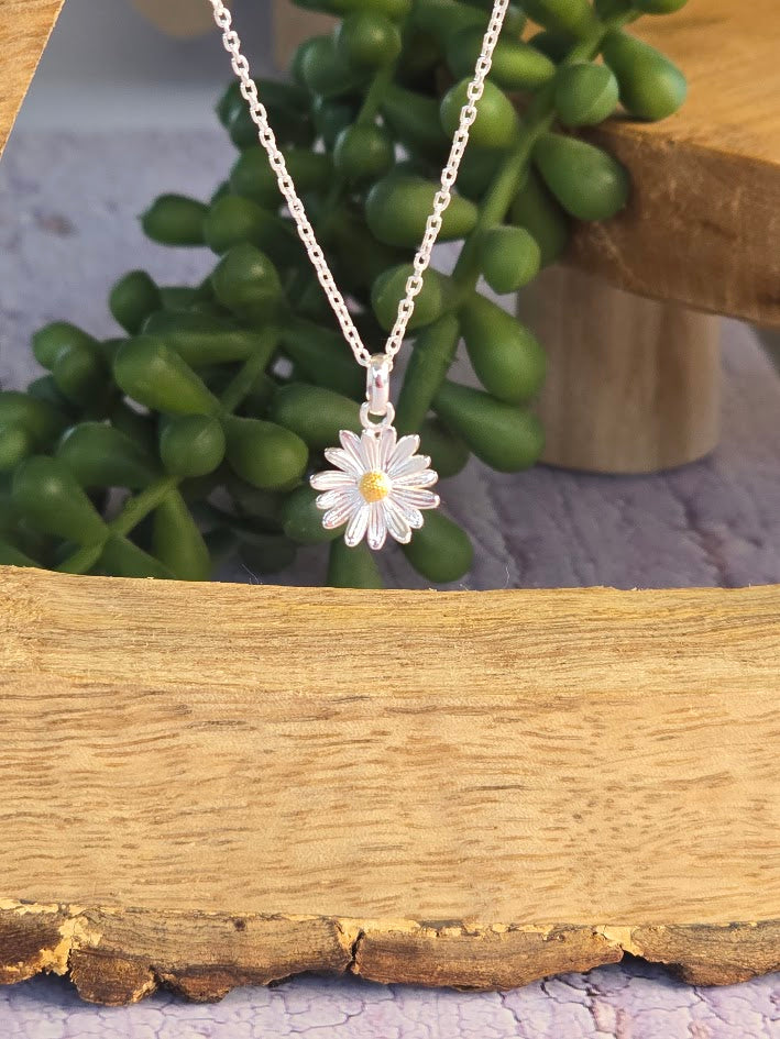 April Birth Flower Daisy Necklace | 925 Sterling Silver & Gold | Birth Month Pendant | Free Chain | Everything's Rosie Jewellery